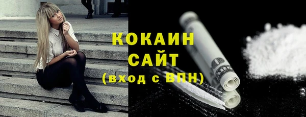 соль ск Вяземский