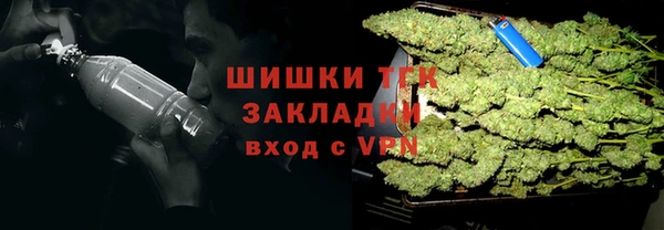 соль ск Вяземский