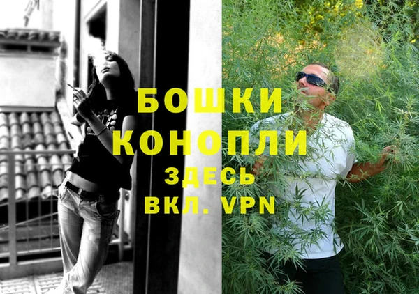 соль ск Вяземский